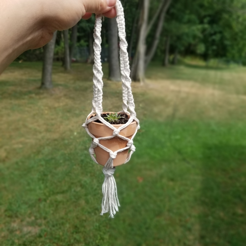 Handmade mini planter choice of pot succulent